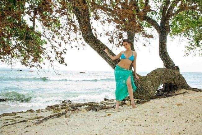 brunette girl reveals on the shore with a tree