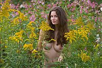 Babes: young curly brunette girl in the nature on the field of wild flowers