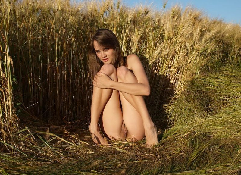 young brunette girl reveals on a wheat field