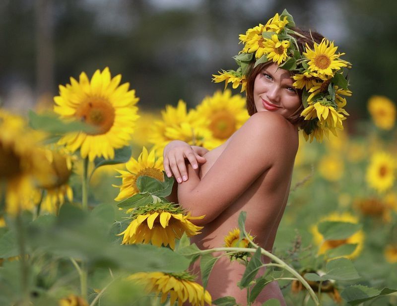 blonde girl on a field of sunflowers