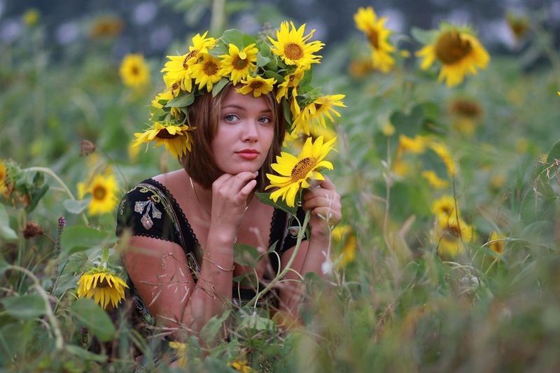 blonde girl on a field of sunflowers