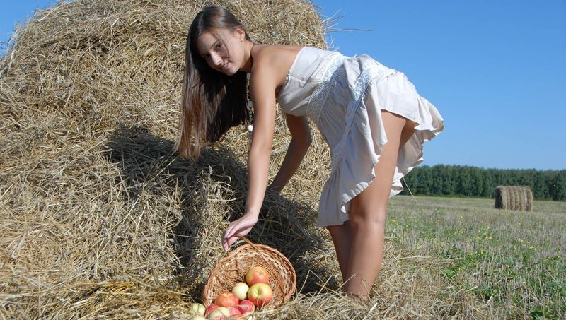 cute young brunette girl in the hay with apples