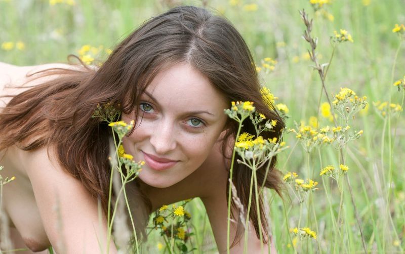brunette girl on the field of wild flowers