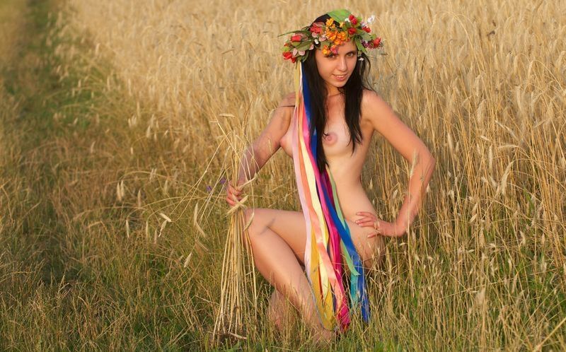 young brunette girl with a flower wreath on the wheat field