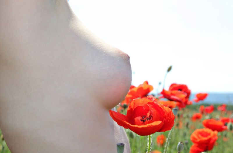 young black haired girl outside on the field with red poppies