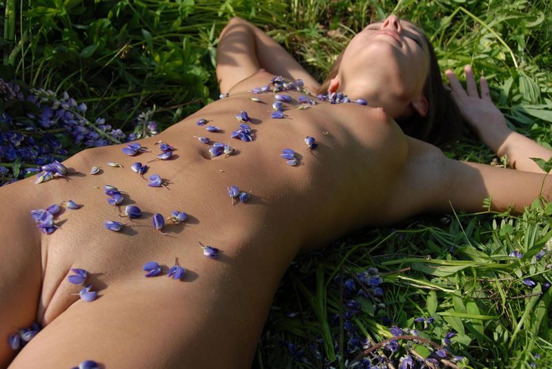 cute young brunette girl posing on the field of wild flowers