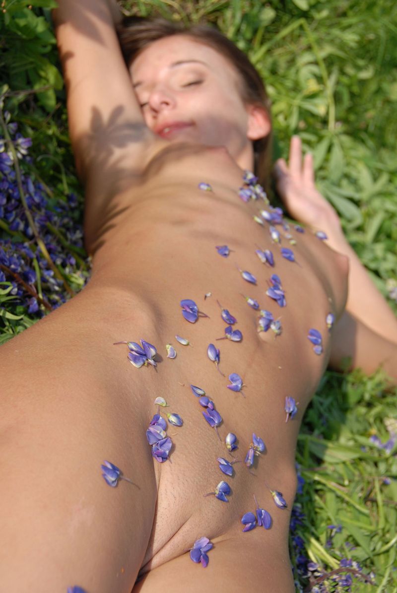 cute young brunette girl posing on the field of wild flowers