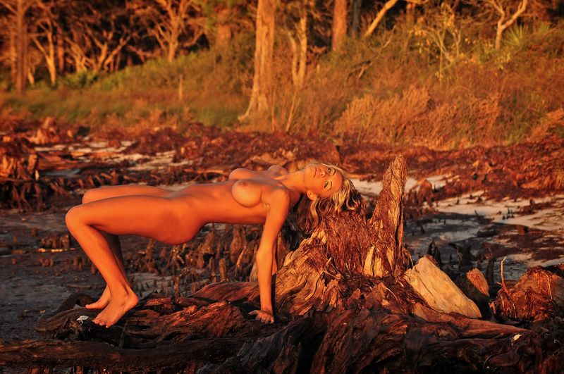 blonde girl tanned on the beach with driftwood during the sunset