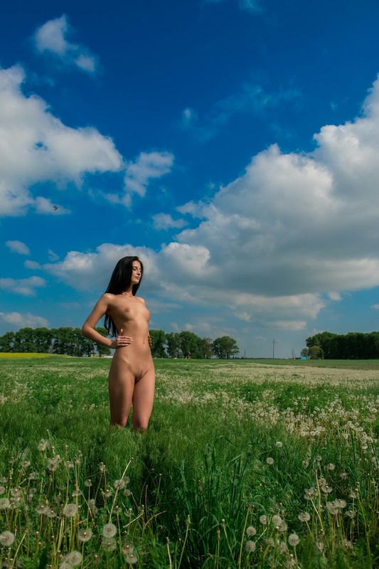 young black haired girl undresses her bodysuit on the field of dandelions