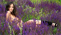 Babes: cute young brunette girl reveals on the field of wild flowers