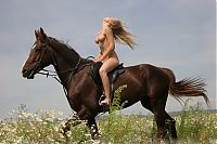 Babes: young girl naked with a horse