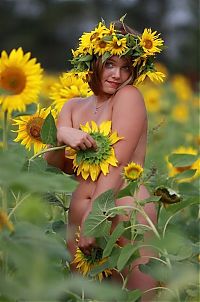 Babes: blonde girl on a field of sunflowers