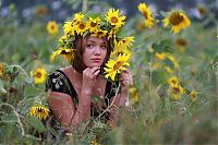 Babes: blonde girl on a field of sunflowers