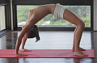 Babes: cute young brunette girl practicing yoga poses