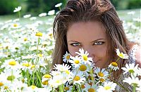 Babes: brunette girl on the field of daisy flowers