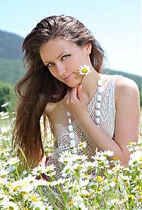 Babes: brunette girl on the field of daisy flowers