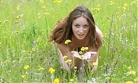 Babes: brunette girl on the field of wild flowers