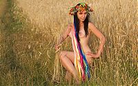 Babes: young brunette girl with a flower wreath on the wheat field