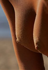 Nake.Me search results: cute young brunette girl in the sand at the river in saint petersburg