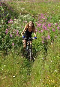 Babes: cute young blonde girl reveals on the field of wild flowers with a bicycle