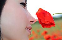 Babes: young black haired girl outside on the field with red poppies