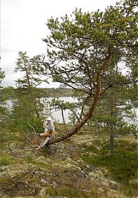 Nake.Me search results: young brunette girl with a veil in the mountain forest at the tarn