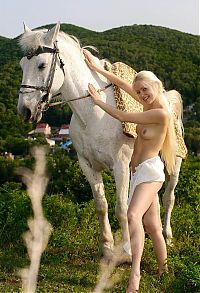 Babes: young blonde girl with a white top riding on the white horse in the nature