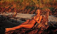 Babes: blonde girl tanned on the beach with driftwood during the sunset