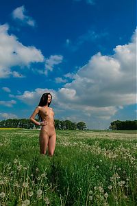 Nake.Me search results: young black haired girl undresses her bodysuit on the field of dandelions